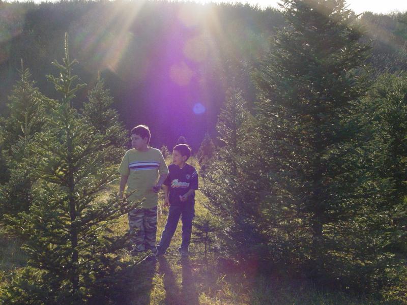 Ted and Tom among the trees