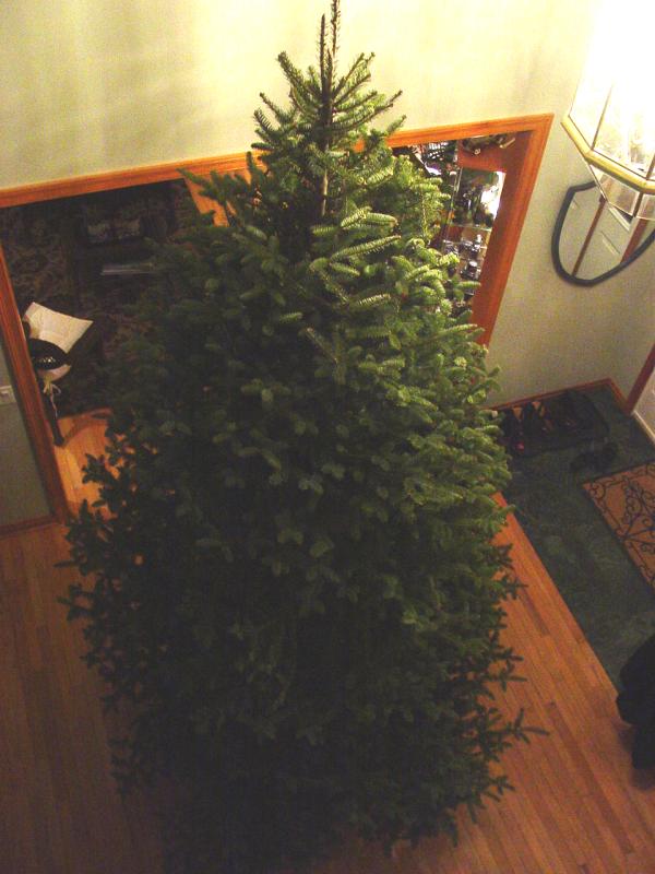 Our Tree in the Foyer from Above