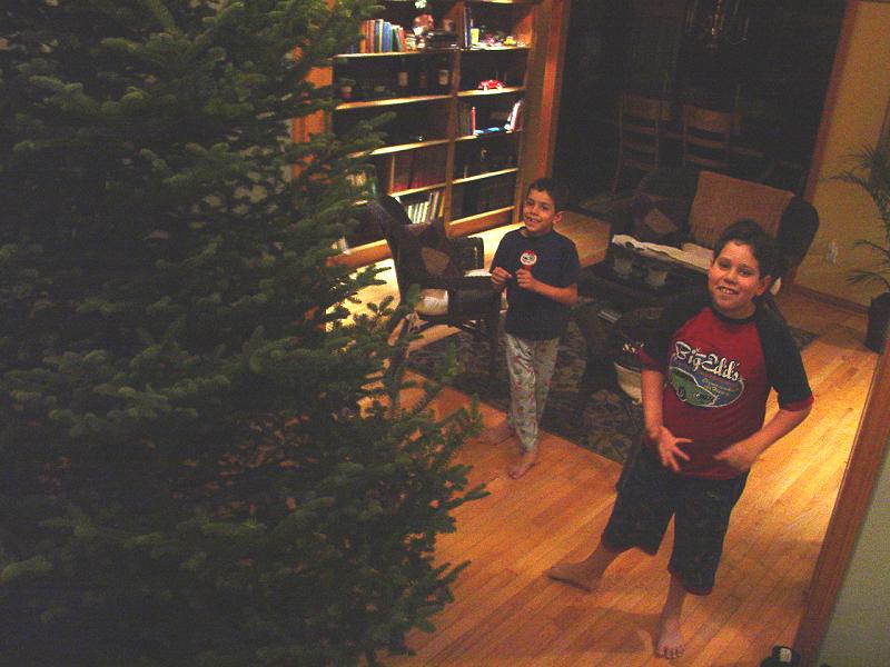 Tom and Ted with the Tree - Click to Enlarge