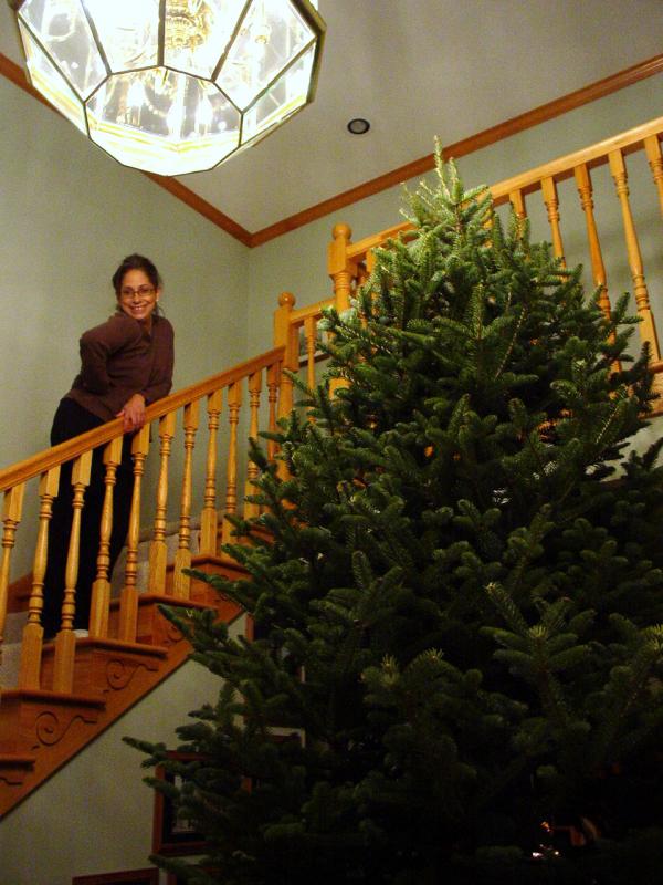 Maria with the Tree