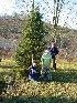 Ted and Tom with our tree and Paul preparing saw...