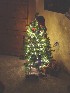 Ted and Tom's Tree