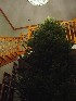 The Tree in the Foyer