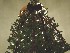 Partially Decorated Tree