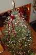 Decorated Tree