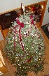Decorated Tree