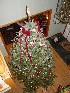Decorated Tree