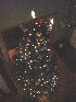 Decorated Tree
