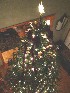 Decorated Tree
