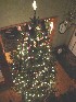 Decorated Tree