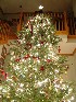Decorated Tree