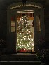 Decorated Tree