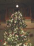 Decorated Tree