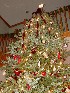 Decorated Tree