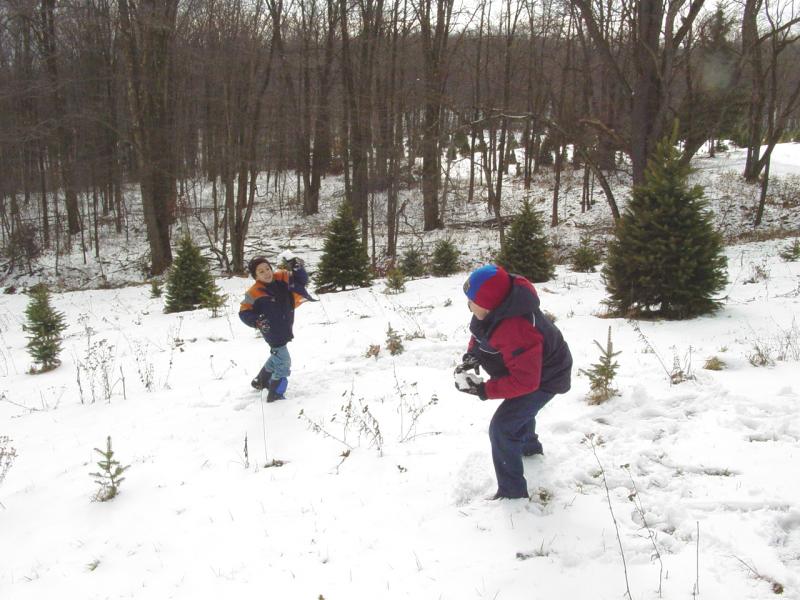 Snowball fight!