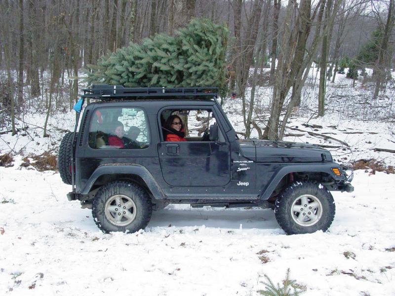 The Whole Family and The Tree
