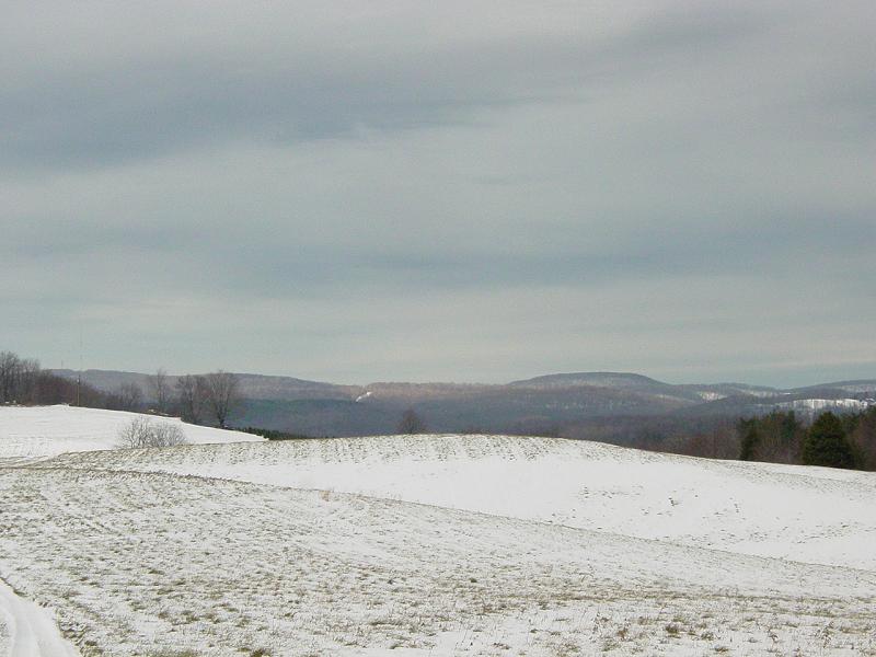 Another field