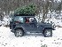 The Whole Family and The Tree