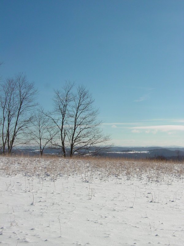 View from Pisgah