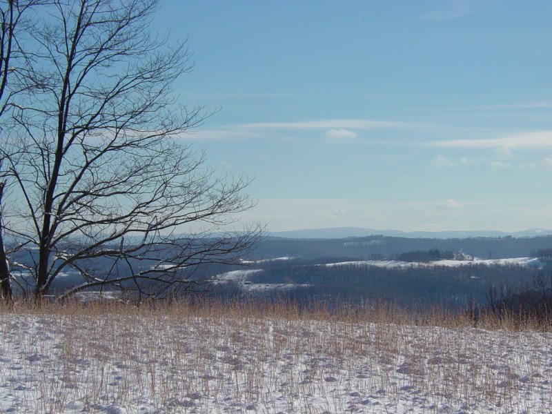 Pisgah Field