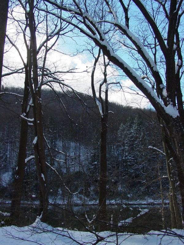 Cheat Canyon from Beaver Hole