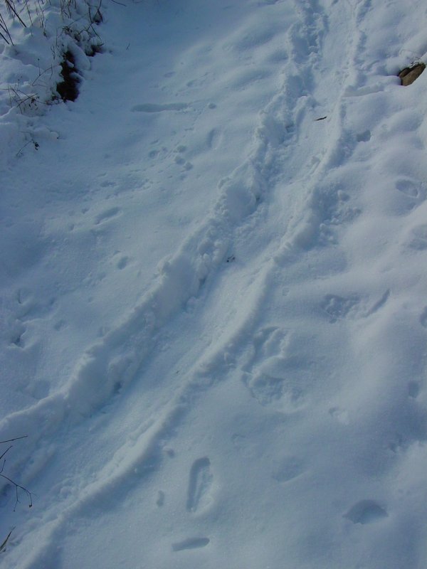 Beaver Tail Trail at Beaver Hole