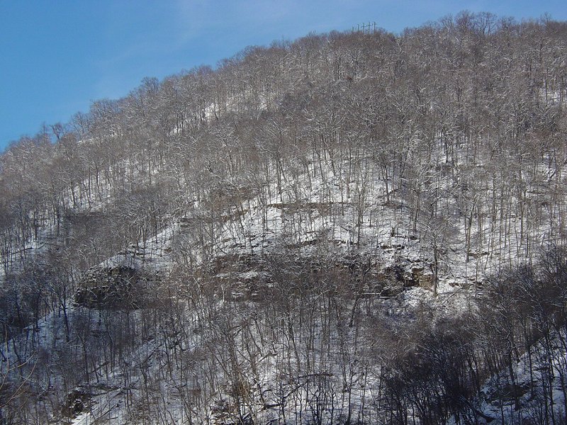 Cheat Canyon near Scott Run