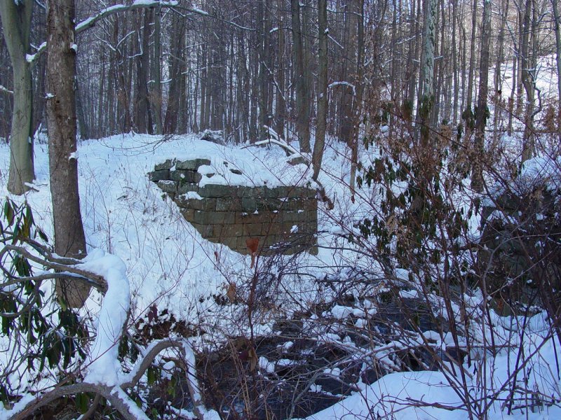 Bridge footing at Scott Run