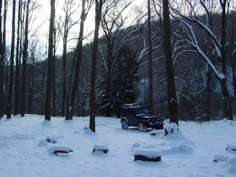 Woods near Beaver Hole