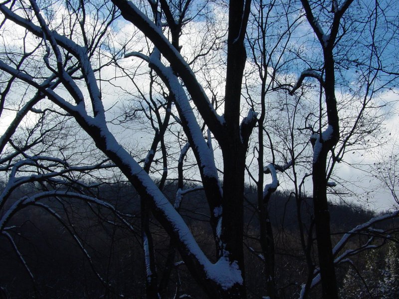 Sky in Cheat Canyon