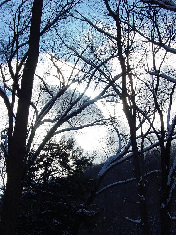 Sky in Cheat Canyon