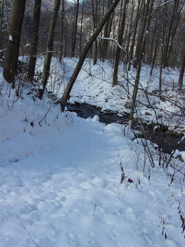 Scott Run Crossing at Beaver Hole