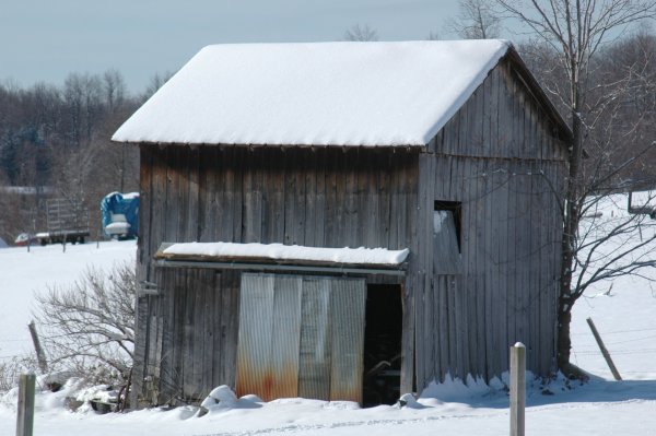 Gray Barn