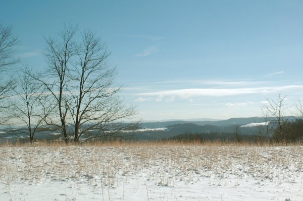 Across the Canyon