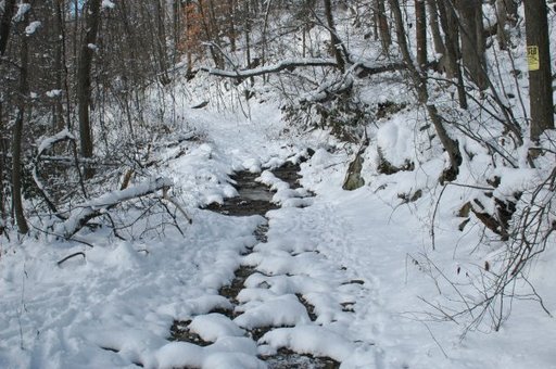 Rough Spot in the Trail