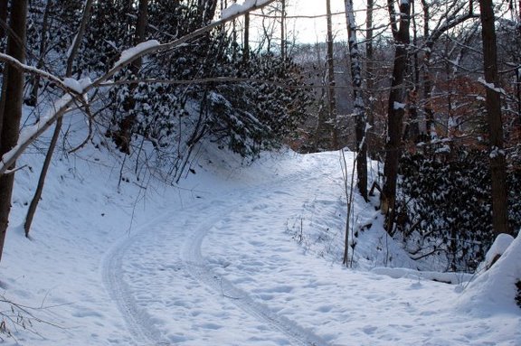 The Trail