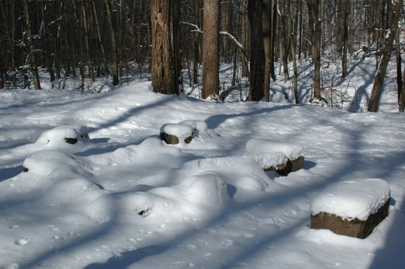 Seating Area at Beaver Hole