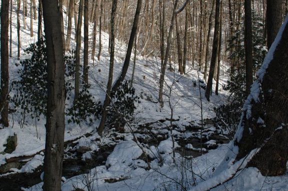 Scott's Run