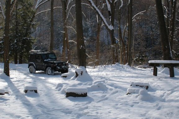 Clearing at Beaver Hole