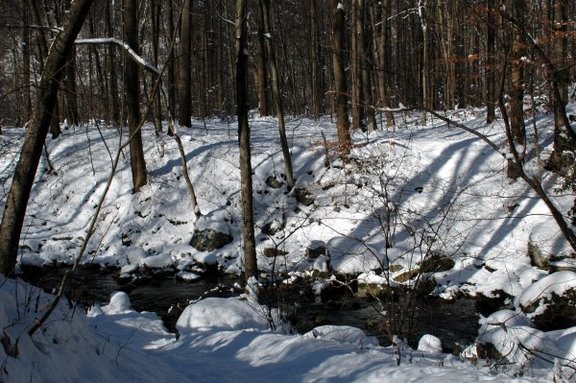 Scott's Run
