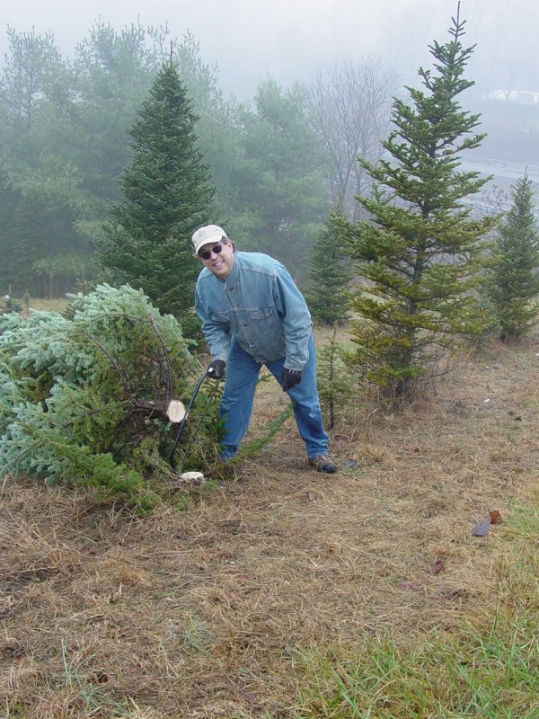 Paul Bunyan