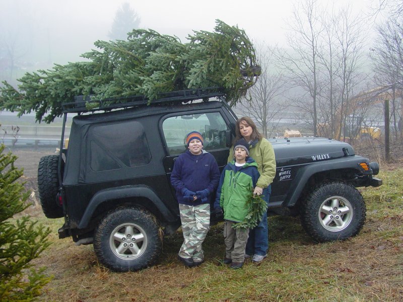 The Tree Loaded