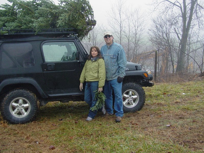 The Tree Loaded