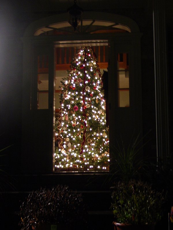 Draft Lighting of the Tree