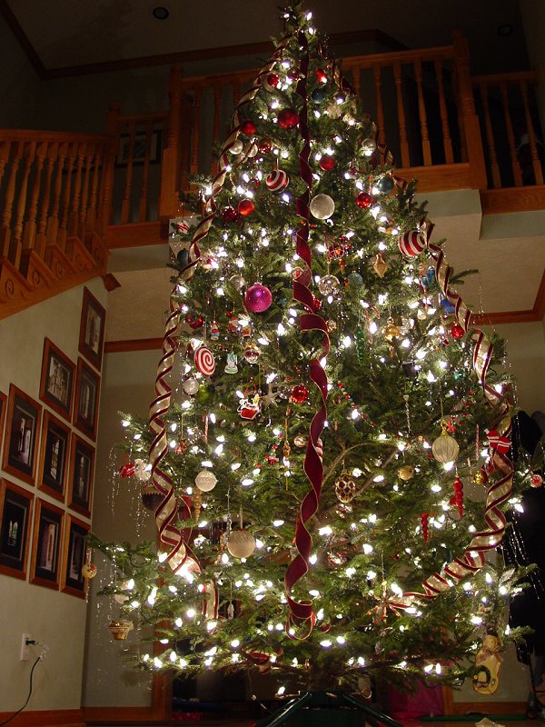 Draft Lighting of the Tree