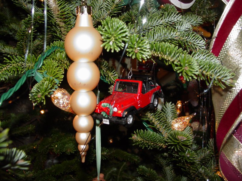 Jeep on Big Tree 2007