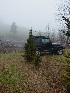 Jeep parked and ready to receive the Tree