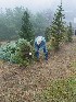 Paul Bunyan