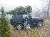 The Tree Loaded