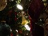 Detail of Our Tree 2007